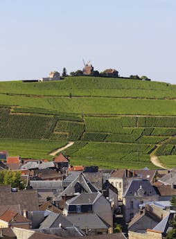 wandelvakantie hart van champagne