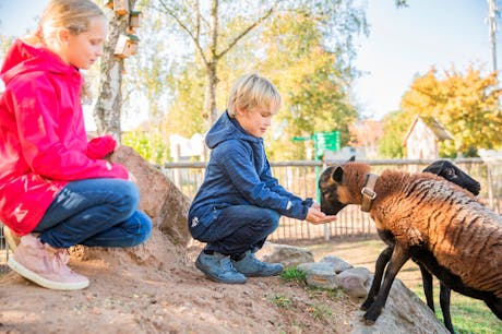 Camping Landal Warsberg kinderboerderij