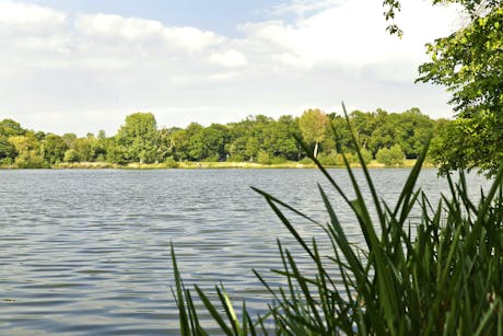 Knaus Leipzig meer