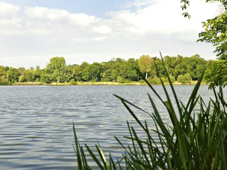 Knaus Leipzig meer