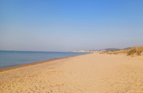 Camping El Pla de Mar strand