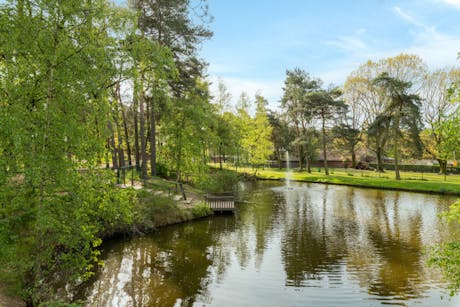 Camping de Heldense bossen