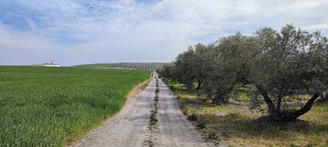 Via Verde del Aceite - Spanje