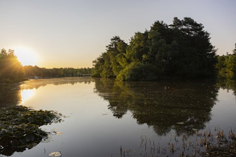 Bospark 't Wolfsven meer