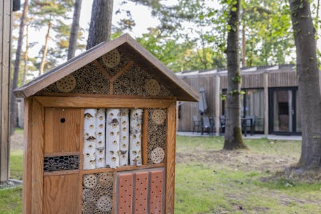 Bospark 't Wolfsven insectenhuis