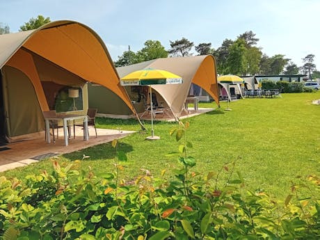 DuynLodge tent - De molenhof