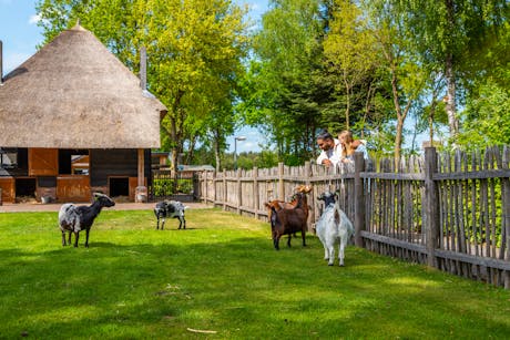 Europarcs Wije Werelt - boederij