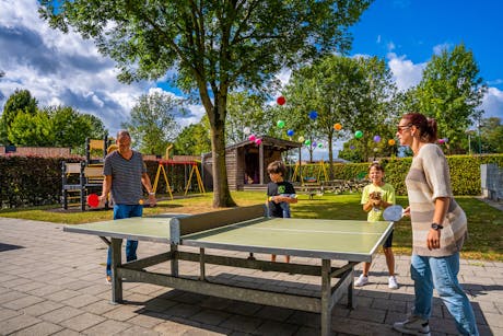 Poort van Maastricht - Pingpong