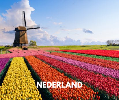 Nederland Tile 