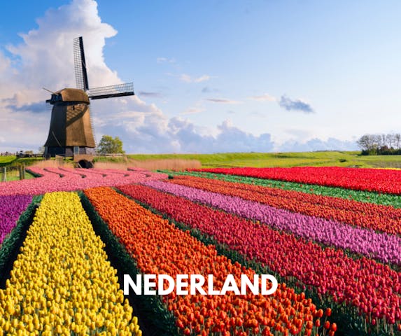 Nederland Tile 