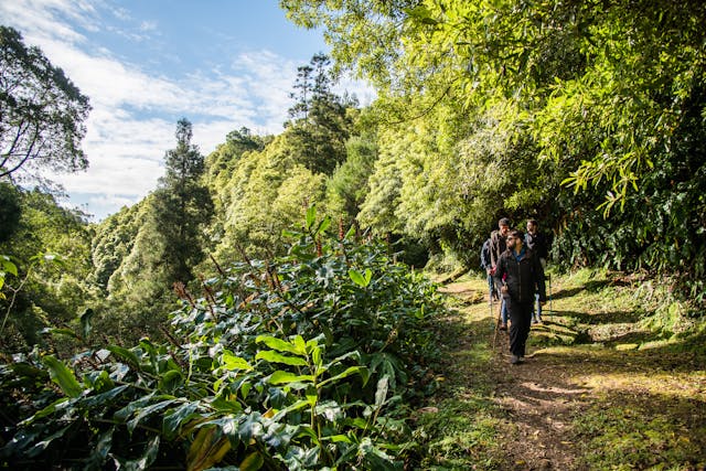 Sao Miguel Azoren wandelpad (c) Melo Travel