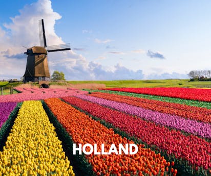 Holland tile