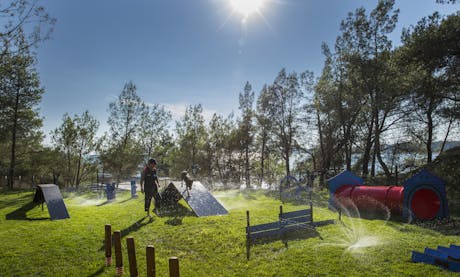 Camping Lanterna 