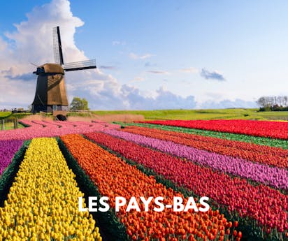 les pays bas tile