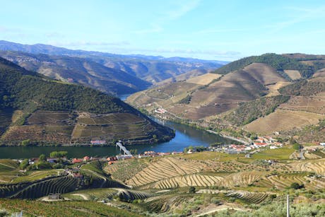 Douro Vallei - Portugal