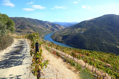 Douro Vallei - Portugal