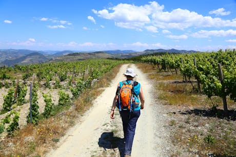 Douro Vallei - Portugal