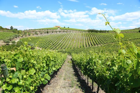 Douro Vallei - Portugal