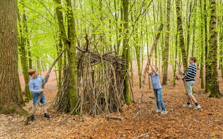 Camping Bertrix - speelbos