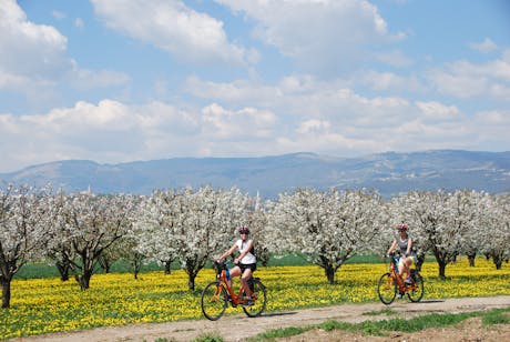 Het vasteland van Venetië - Italië