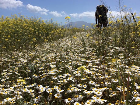 Magna Via Francigena Sicilie