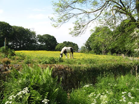 Lake District