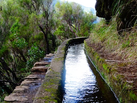 Madeira