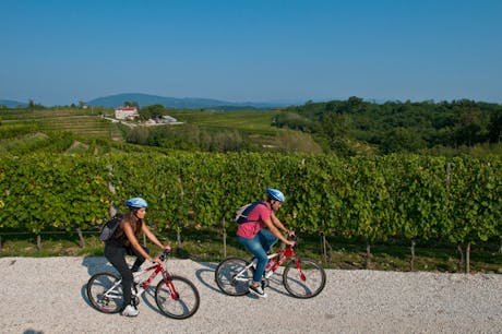 Alpe-Adria fietsers onderweg © Mario Verin