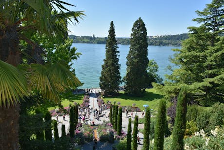 Bodensee Mainau © pixabay