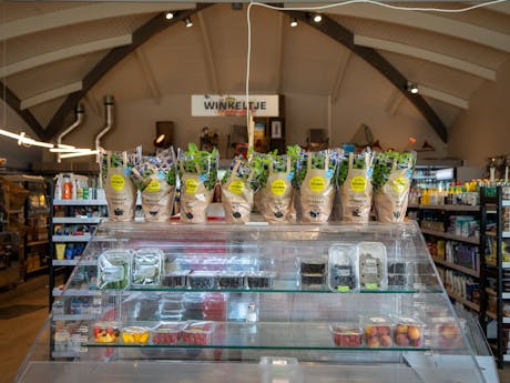 Camping Duinoord winkel