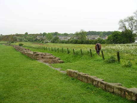 wandel Hadrian's Wall - Engeland door de wei