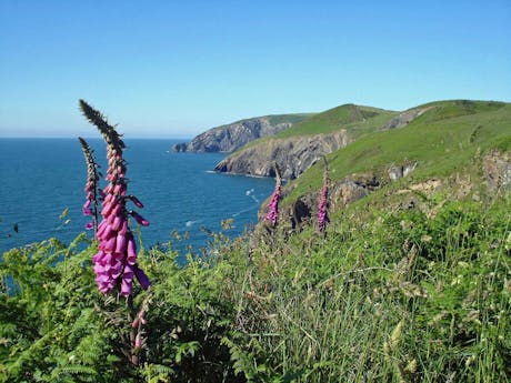 Pembrokeshire NP - Wales de kust uitzicht