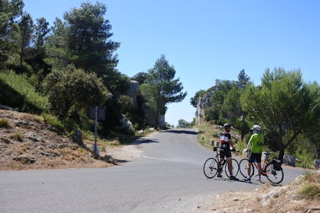 Provence fietsen door de Alpilles