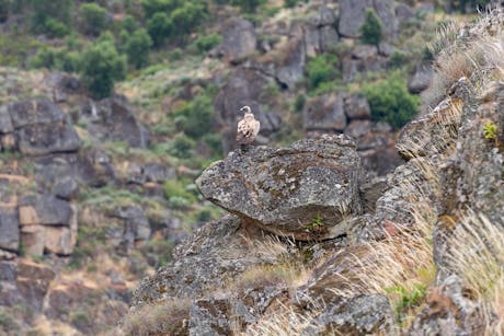 credits Nuno Antunes, Revelamos (3) _Portugal