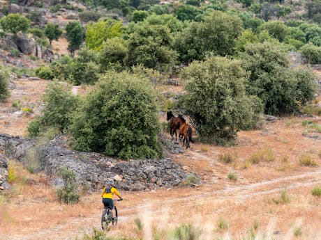 credits Nuno Antunes, Revelamos (4) Portugal