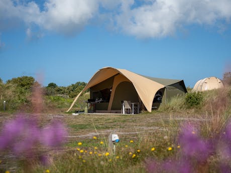 Duinoord - Duynlodge tent