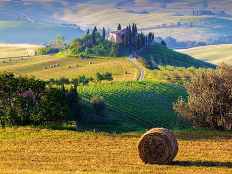 Toscane